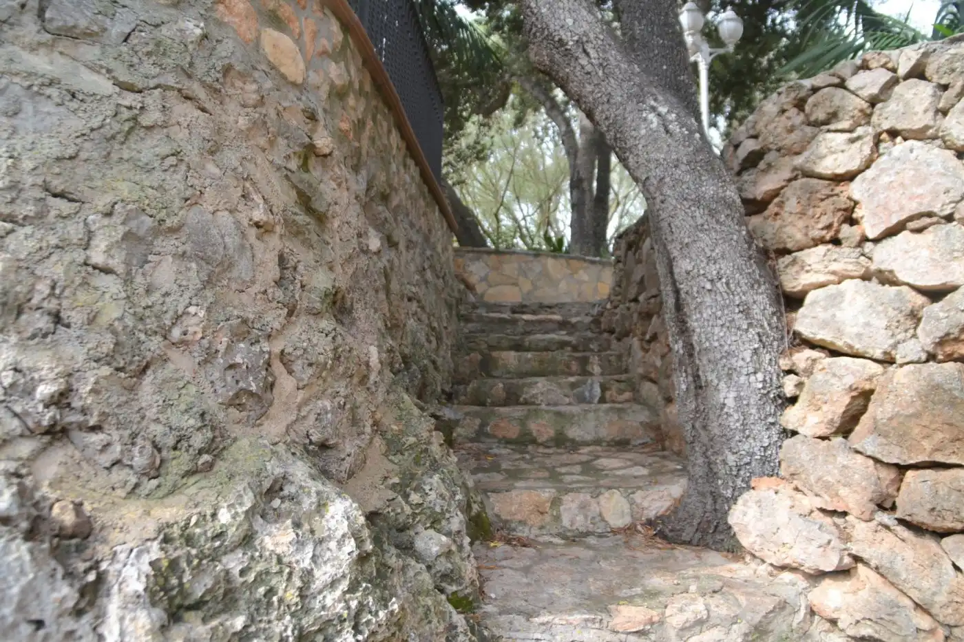 Finca rústica en venta en Son Gual