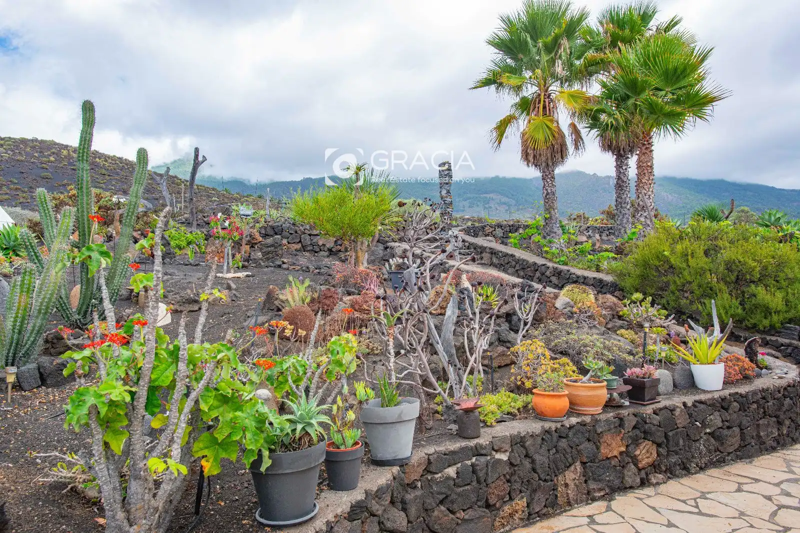 Jardín de Casa o chalet en venta en Tazacorte, Santa Cruz de Tenerife