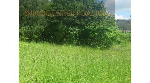 PARCELA URBANA Y AGRARIA, immagine 4