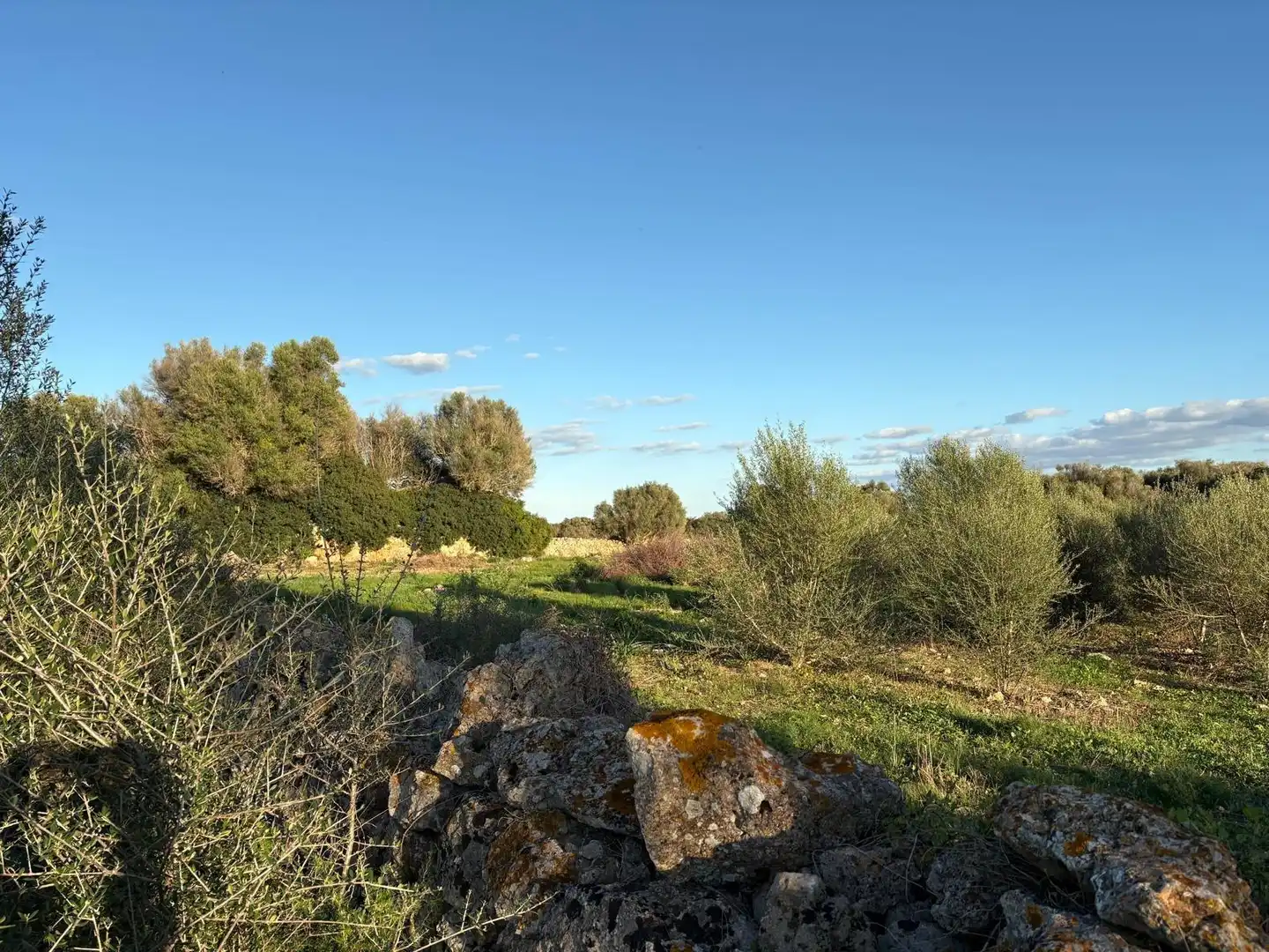 Rural land for sale in Sant Llorenç des Cardassar, imagen 25
