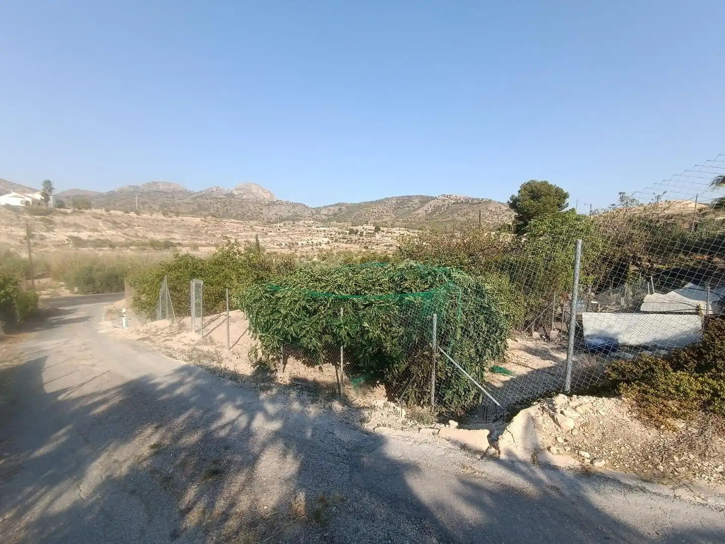 Casa adosada en venta en Fortuna