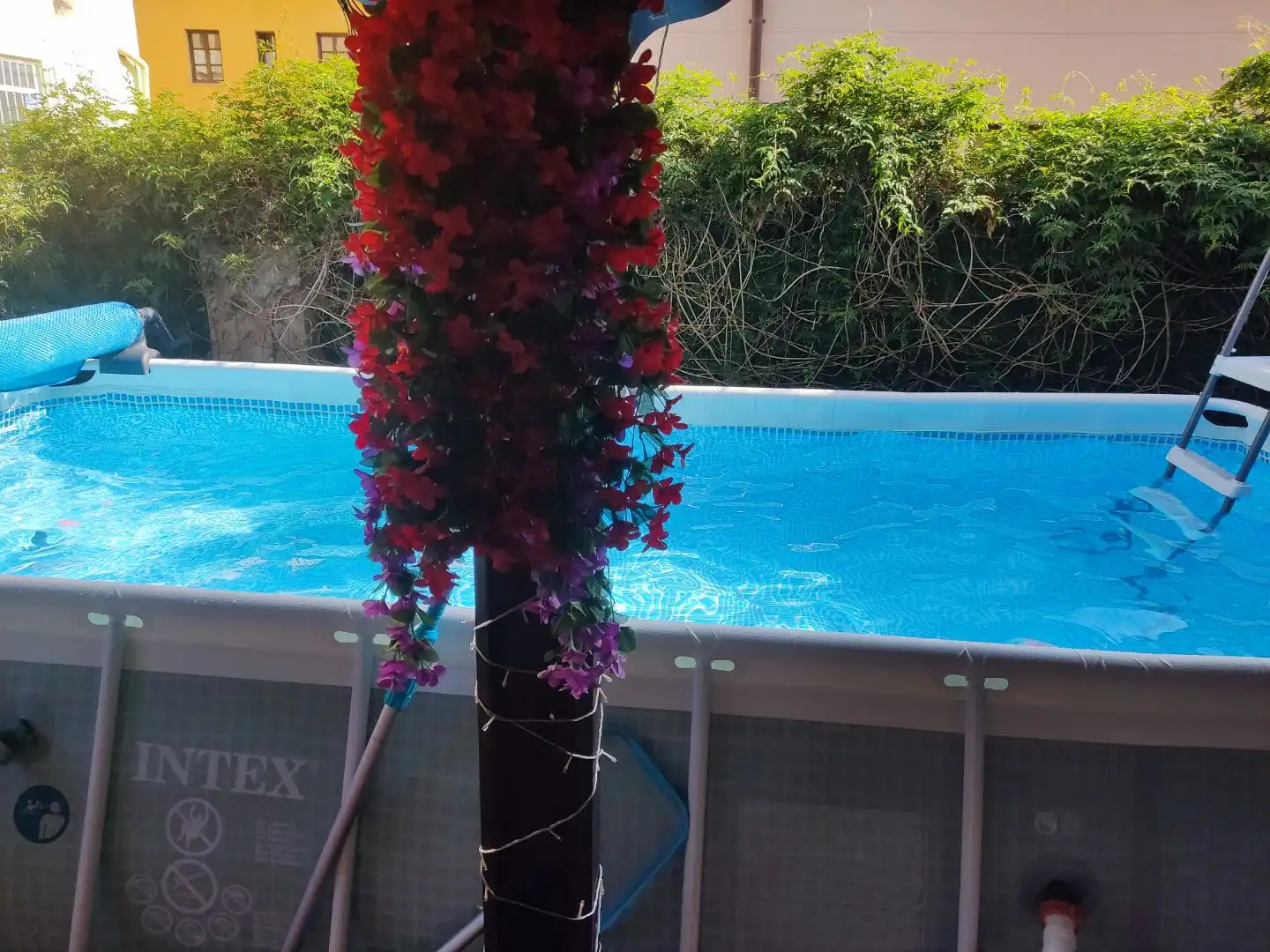 Swimming pool of Flat for sale in Pría - Nueva-Hontoria - Naves