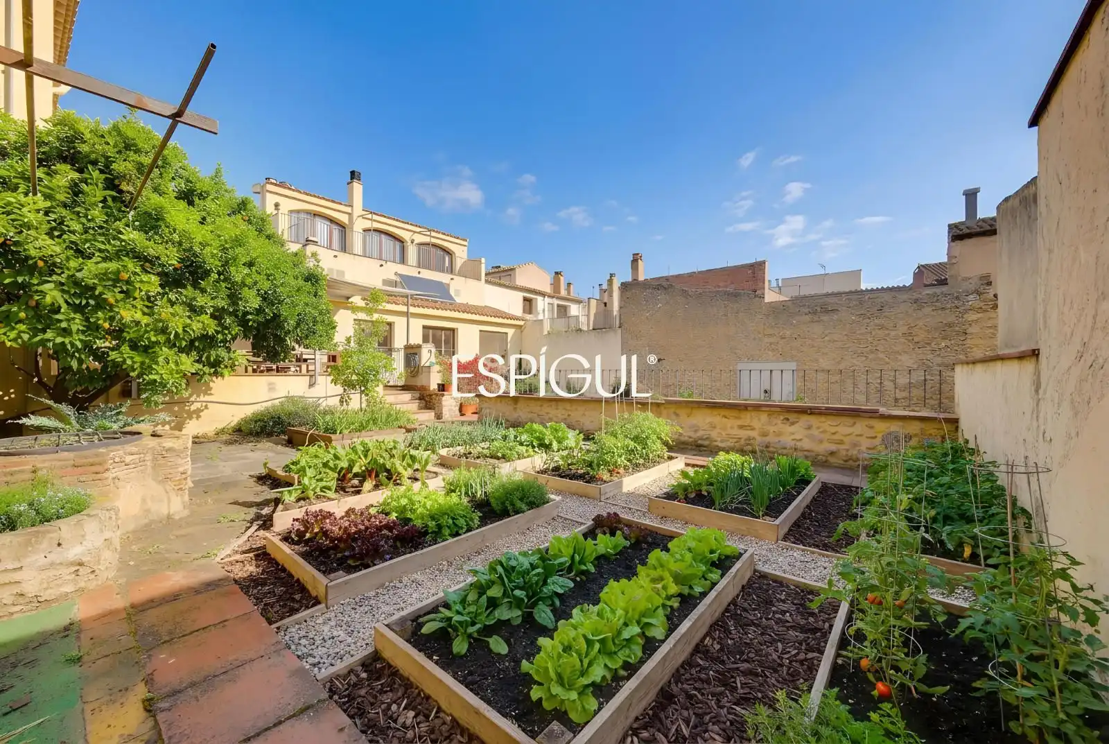 Jardín de Casa o chalet en venta en Torroella de Montgrí con Calefacción, Terraza y Piscina