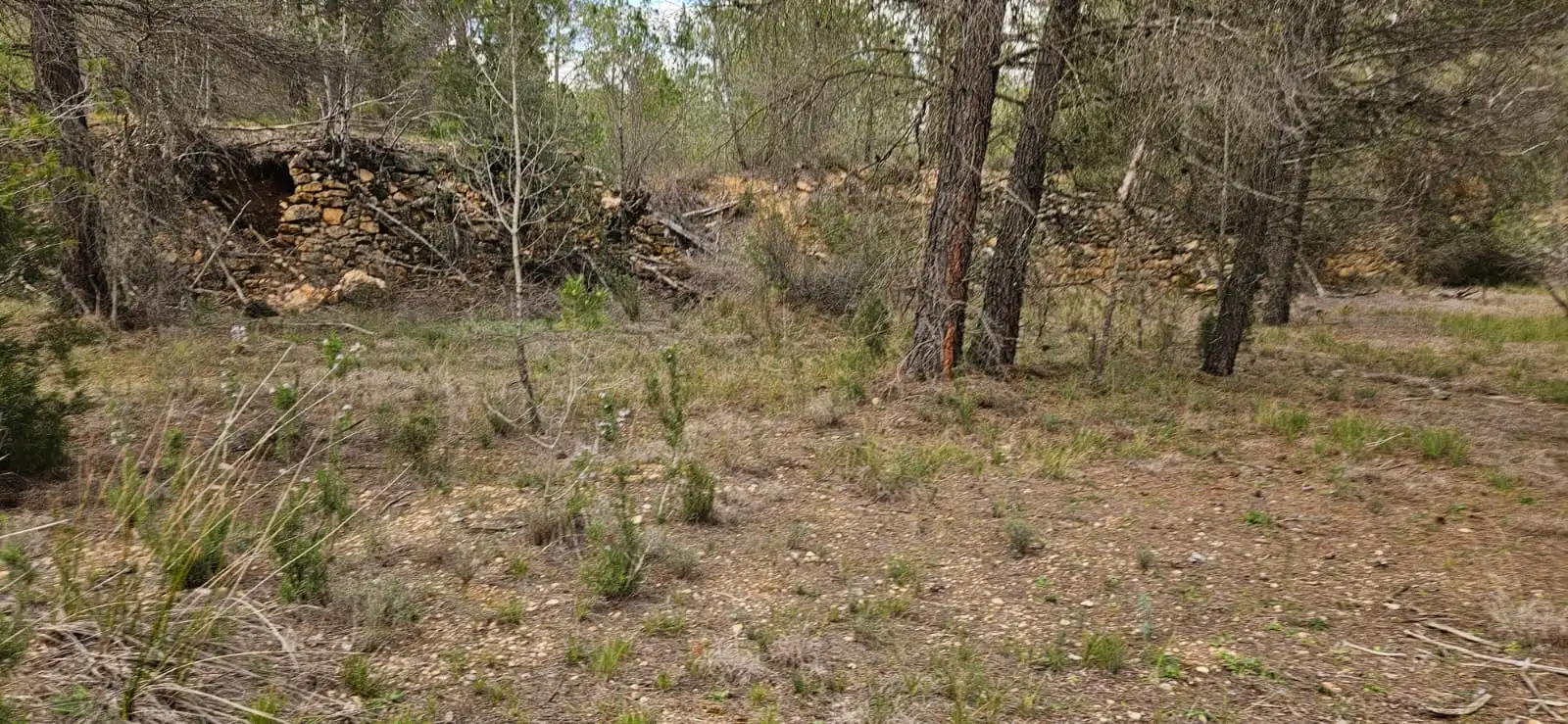 Terreno en venta en Las Parras de Castellote