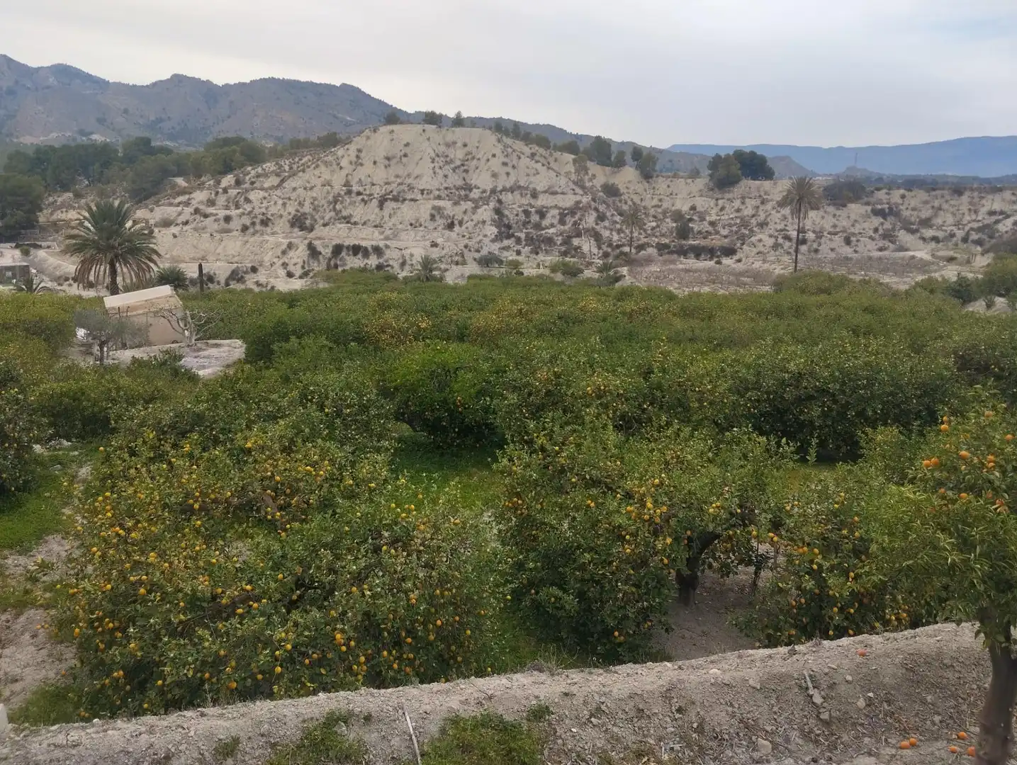 Terreno en venta en Ulea