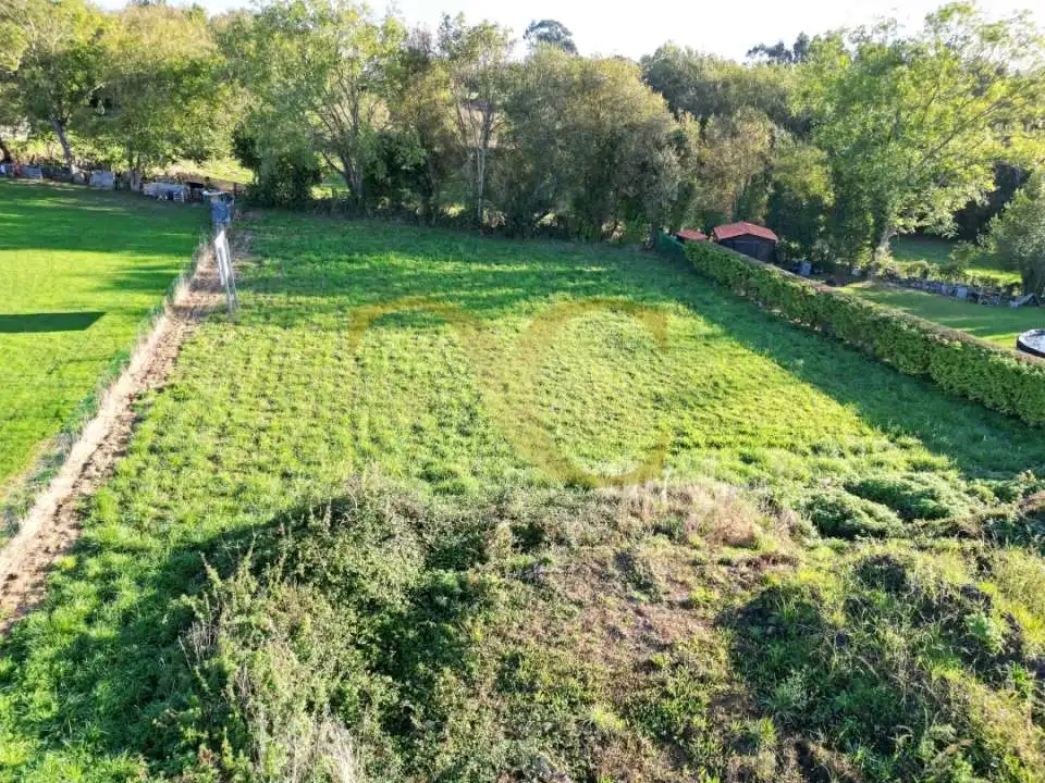 Terreno rustico in vendita a Carretera de Quintes, imagen 2