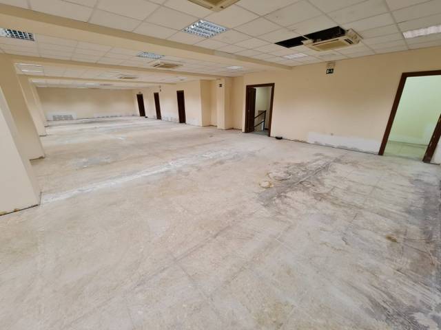 Local comercial en Alquiler en Parque Geólogo José Royo Gómez