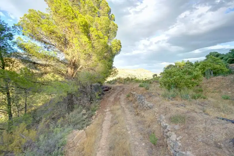 Terreny rústic en venda a El Pinar, imagen 4