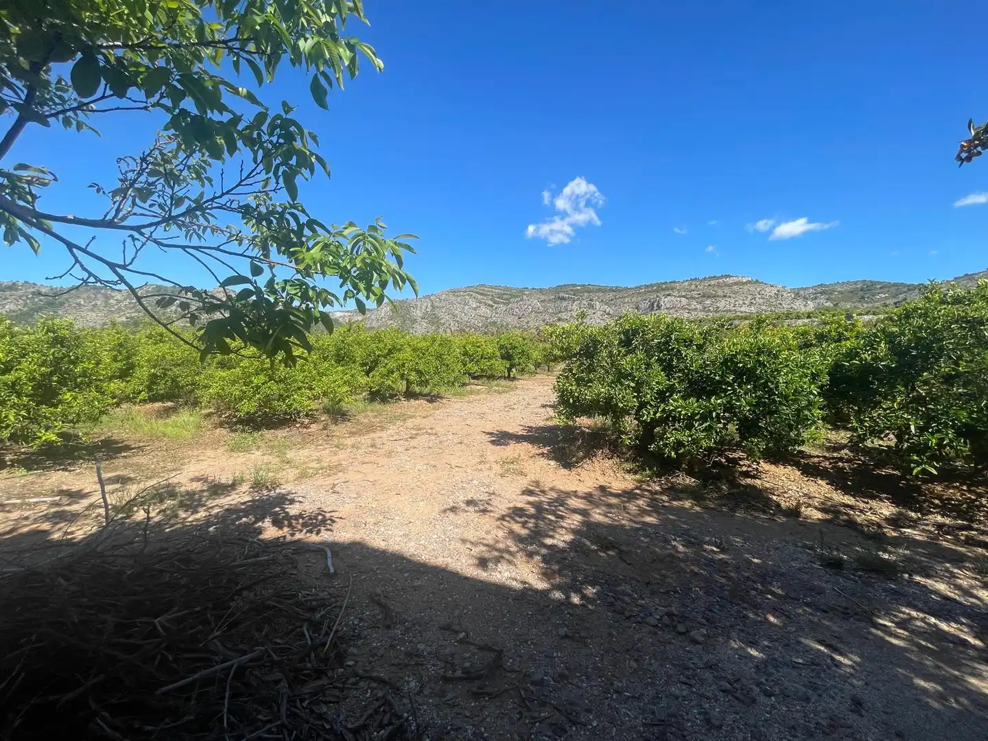 Grundstücke zum Verkauf in Castellón de la Plana / Castelló de la Plana