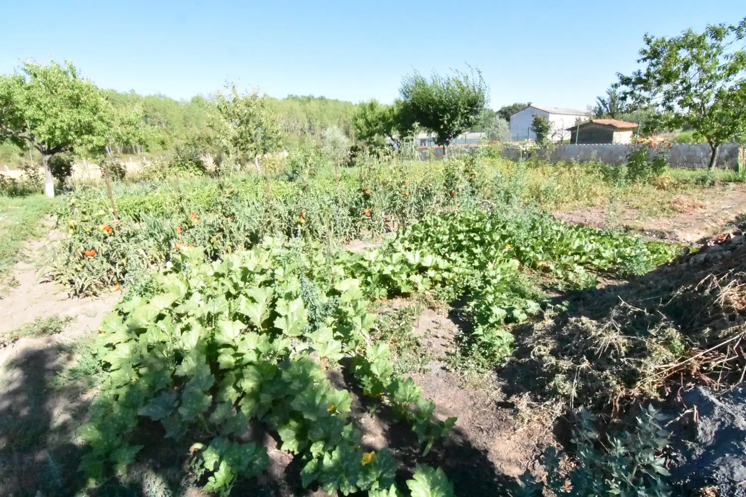 Jardín de Finca rústica en venta en Ciudad Rodrigo