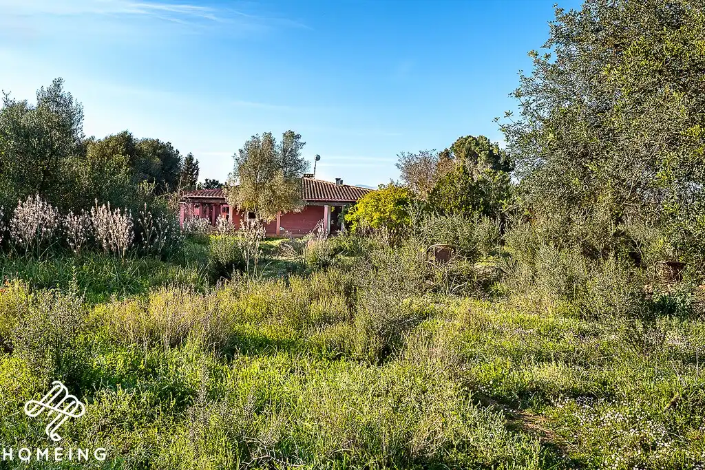 Finca rústica en venda en Algaida amb Terrassa