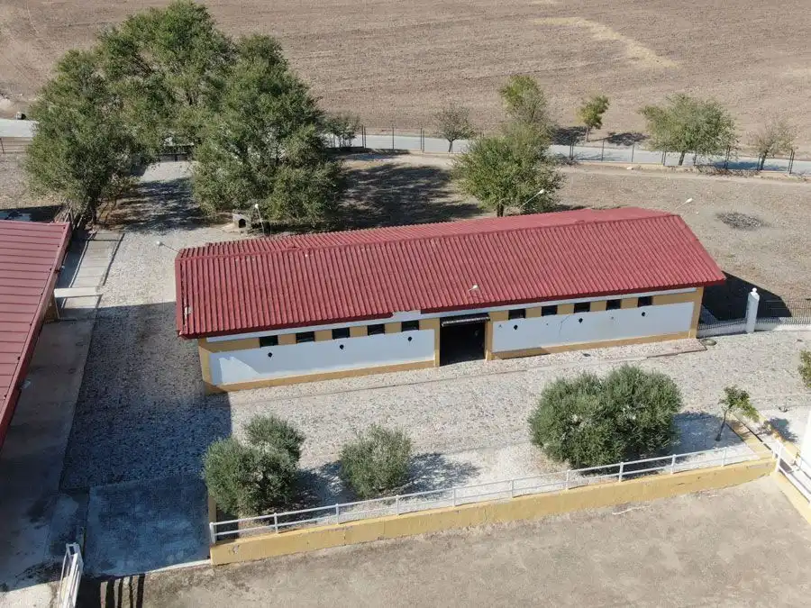 Exterior view of Country homes for sale in Marchena  with Terrace and Swimming Pool