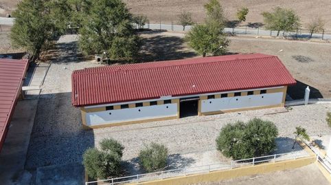 Photo 5 of Country homes for sale in Marchena, Sevilla