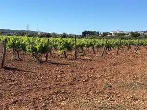 Terreno en venta en Santa Oliva