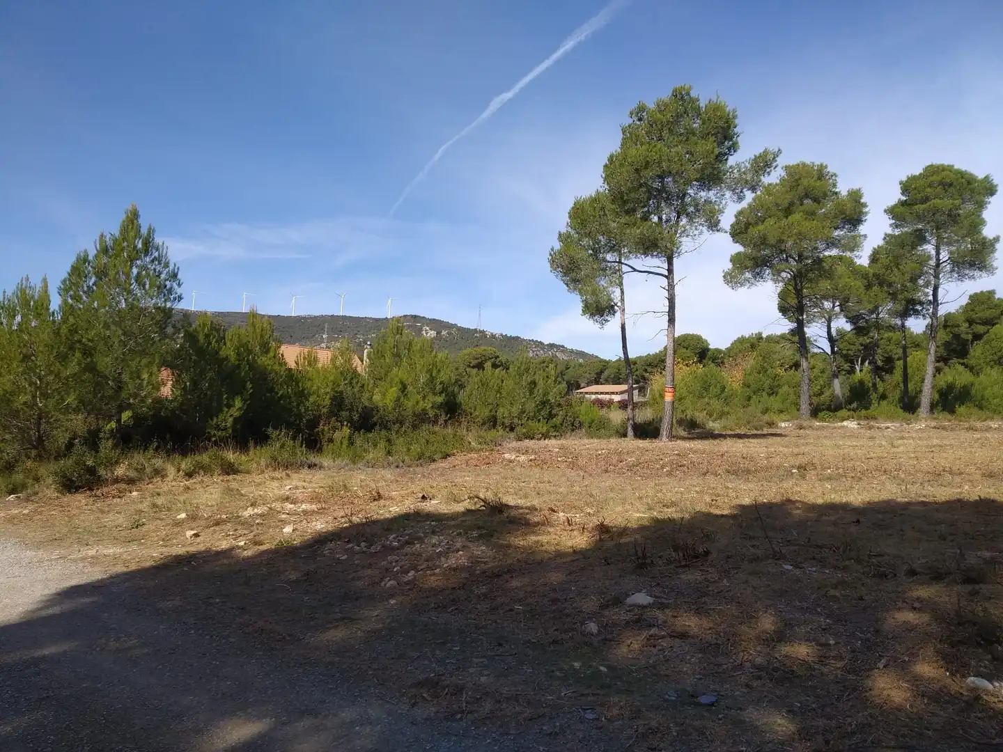 Terreny residencial en venda a Cabra del Camp, imagen 2