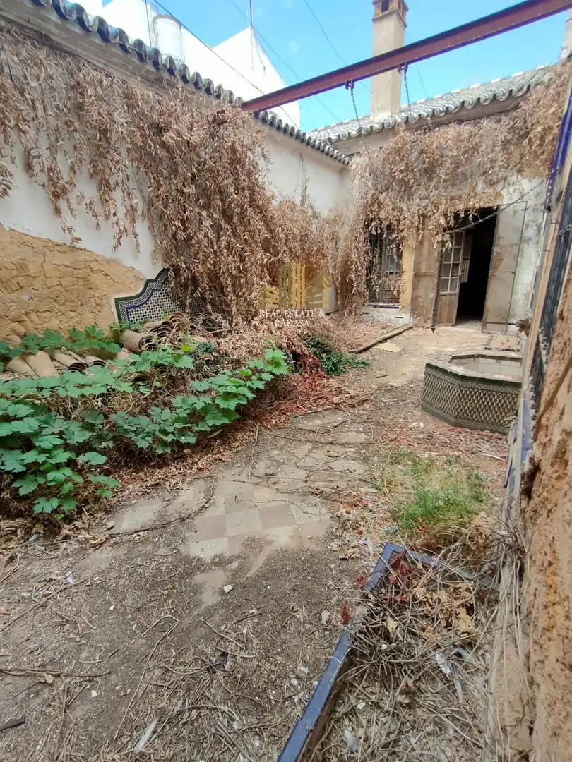 Terreni e lotti in vendita a Nueva Alcalá, imagen 14