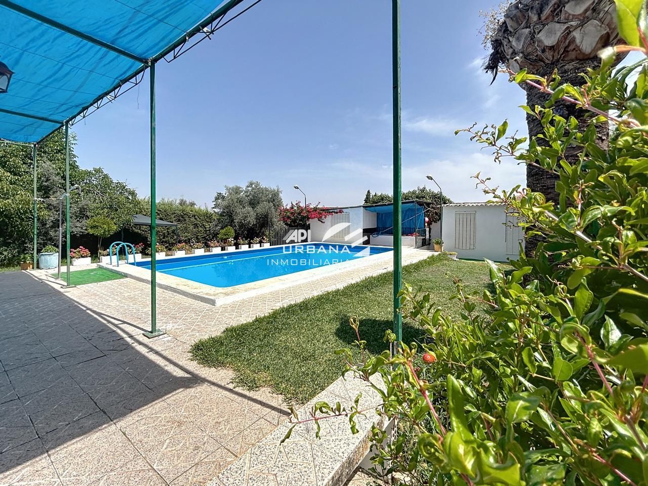 Jardí de Casa o xalet en venda en Lucena amb Piscina
