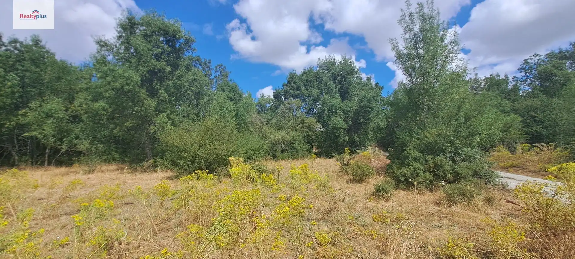 Terreni e lotti in vendita a Sotosalbos, imagen 3
