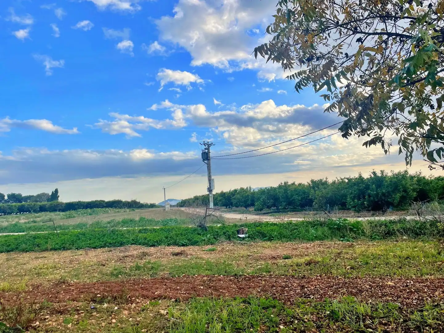 Casa o chalet en venta en Tortosa