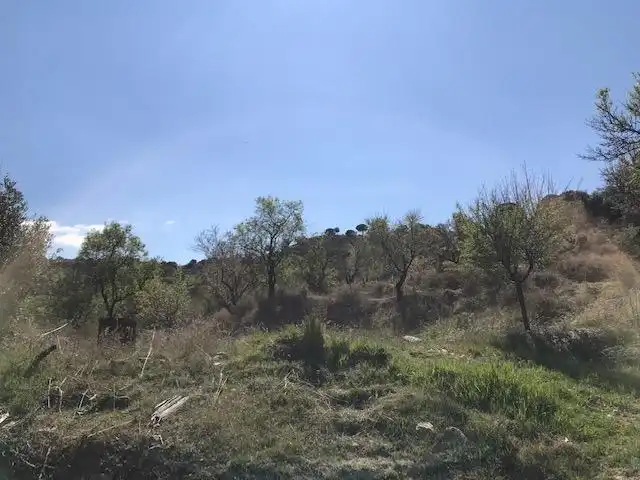 Grundstücke zum Verkauf in La Zubia