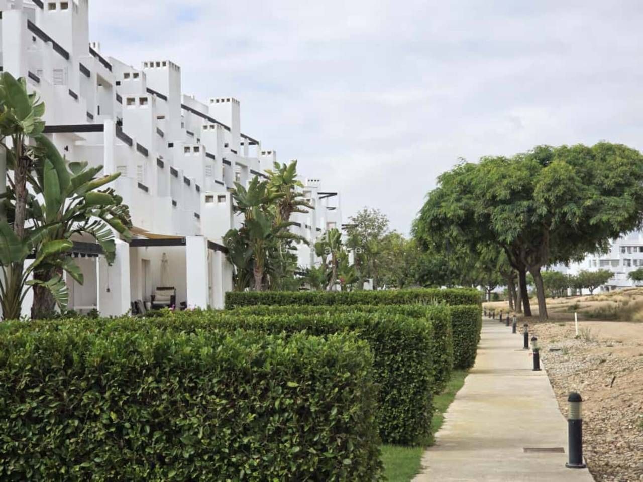 Exterior view of Flat for sale in Torre-Pacheco  with Terrace and Community pool