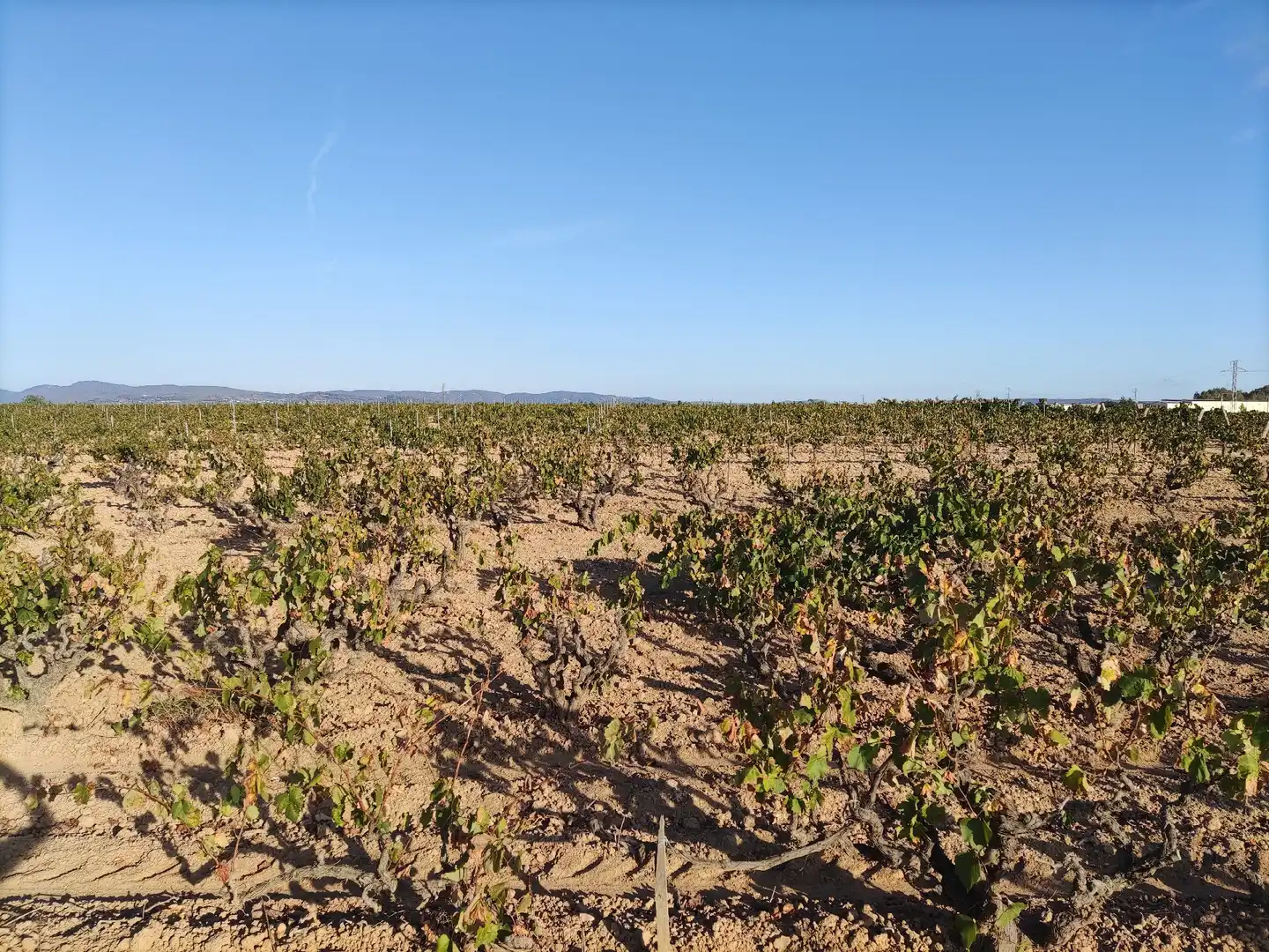 Residencial en venda a El Pla del Penedès