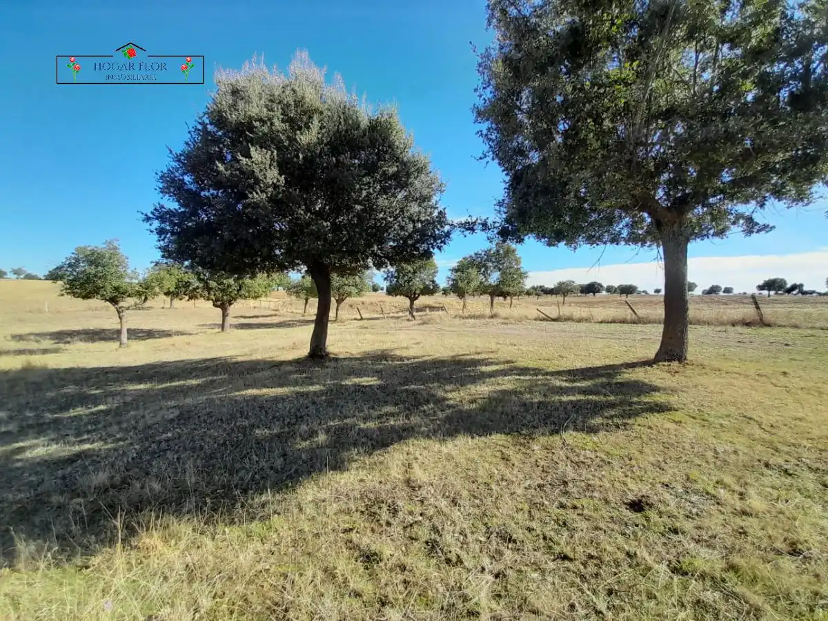 Finca rústica en venta en Carrascal del Obispo