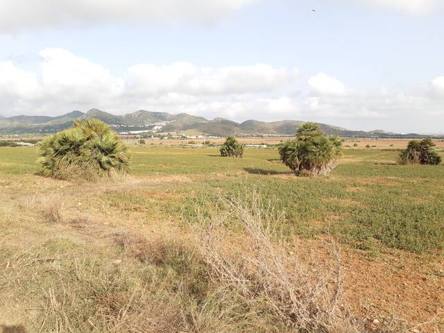 Terreno en Venta en Poblado Barracas, 100 en Los Belones