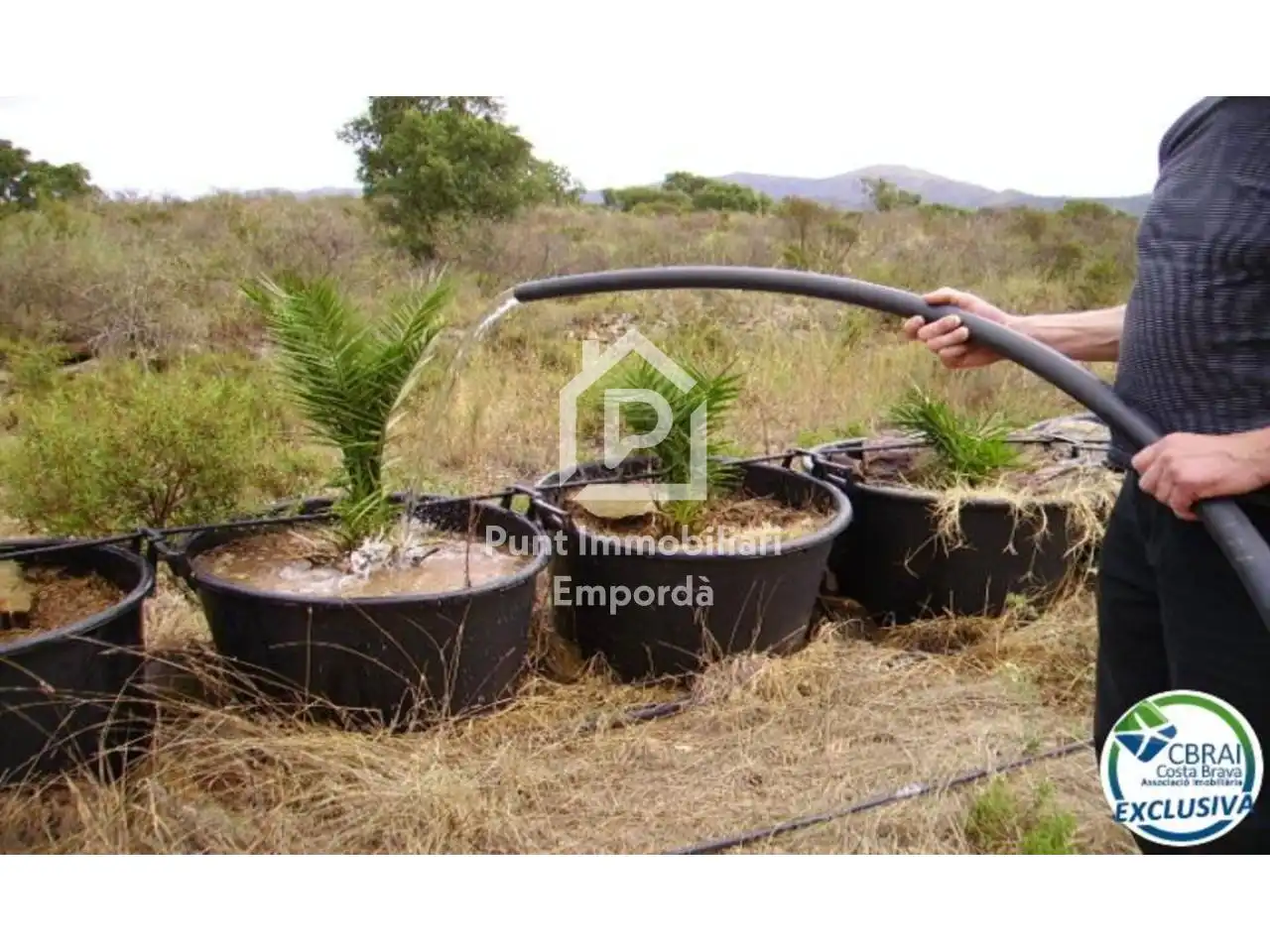 Terreny rústic en venda a Polígono Butaros 181, imagen 9