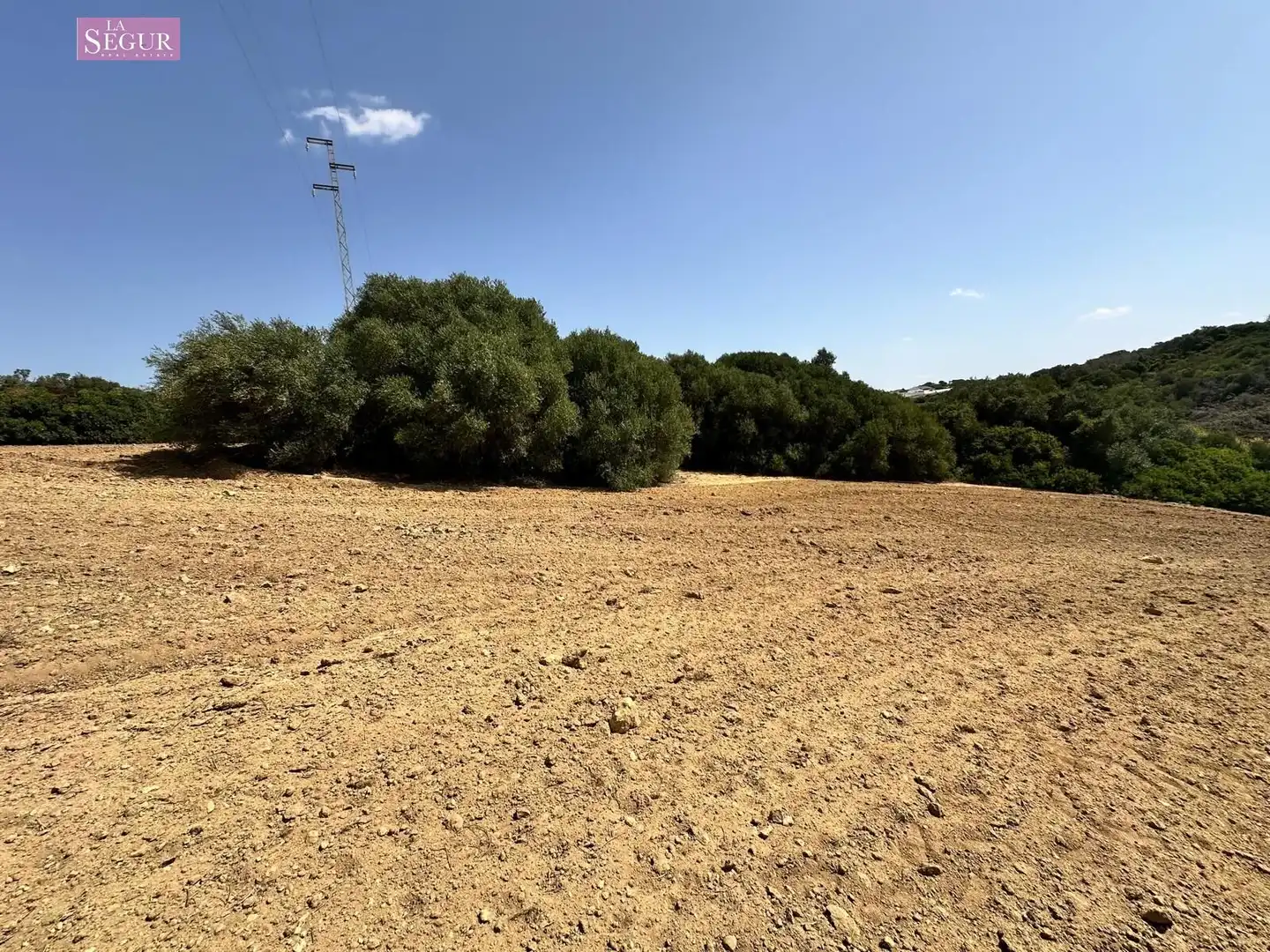 Rural land for sale in Conil, imagen 15