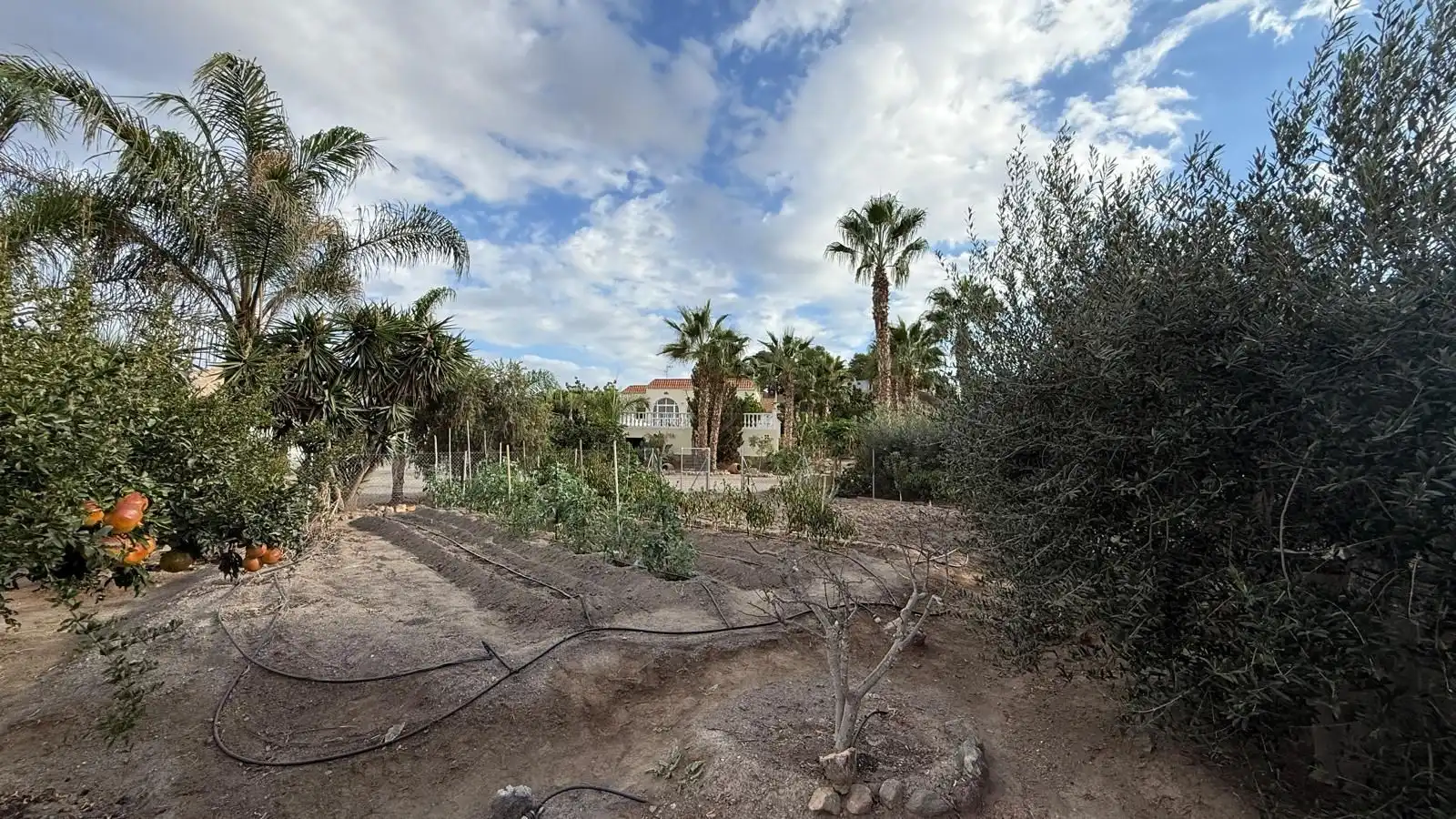 Maison rustique avec piscine à vendre à Tébar - Los Arejos, imagen 4