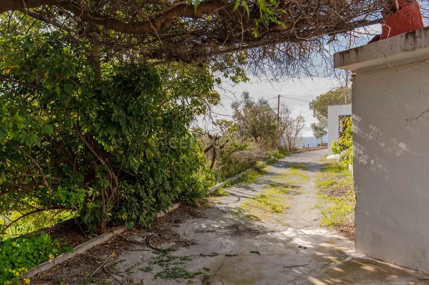 Vista exterior de Casa o chalet en venta en Vélez de Benaudalla con Trastero y Horno