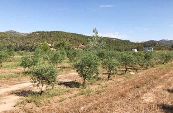 Terreno residencial en Venta en PARTIDA AUBALS. POLIGONO 14, -1 en Garcia