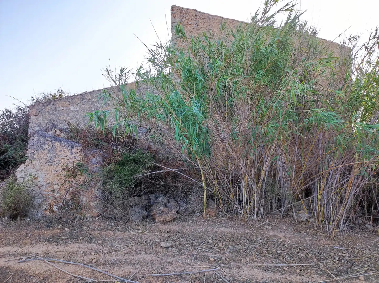 Maison rustique à vendre à Felanitx Poble, imagen 4
