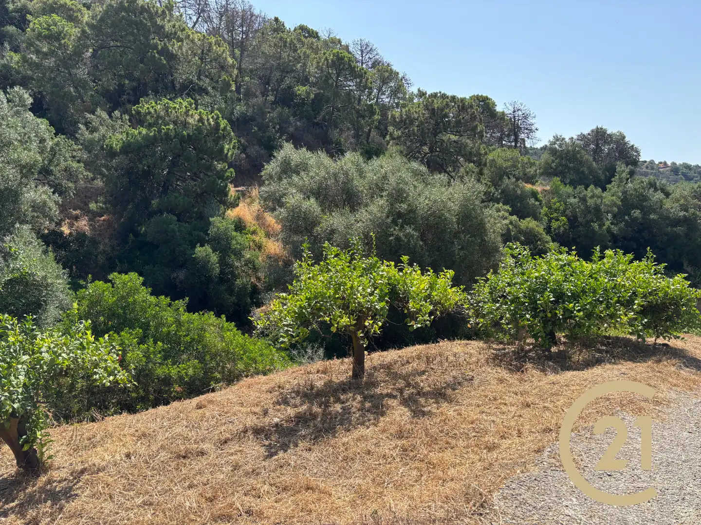 Land for sale in Estepona