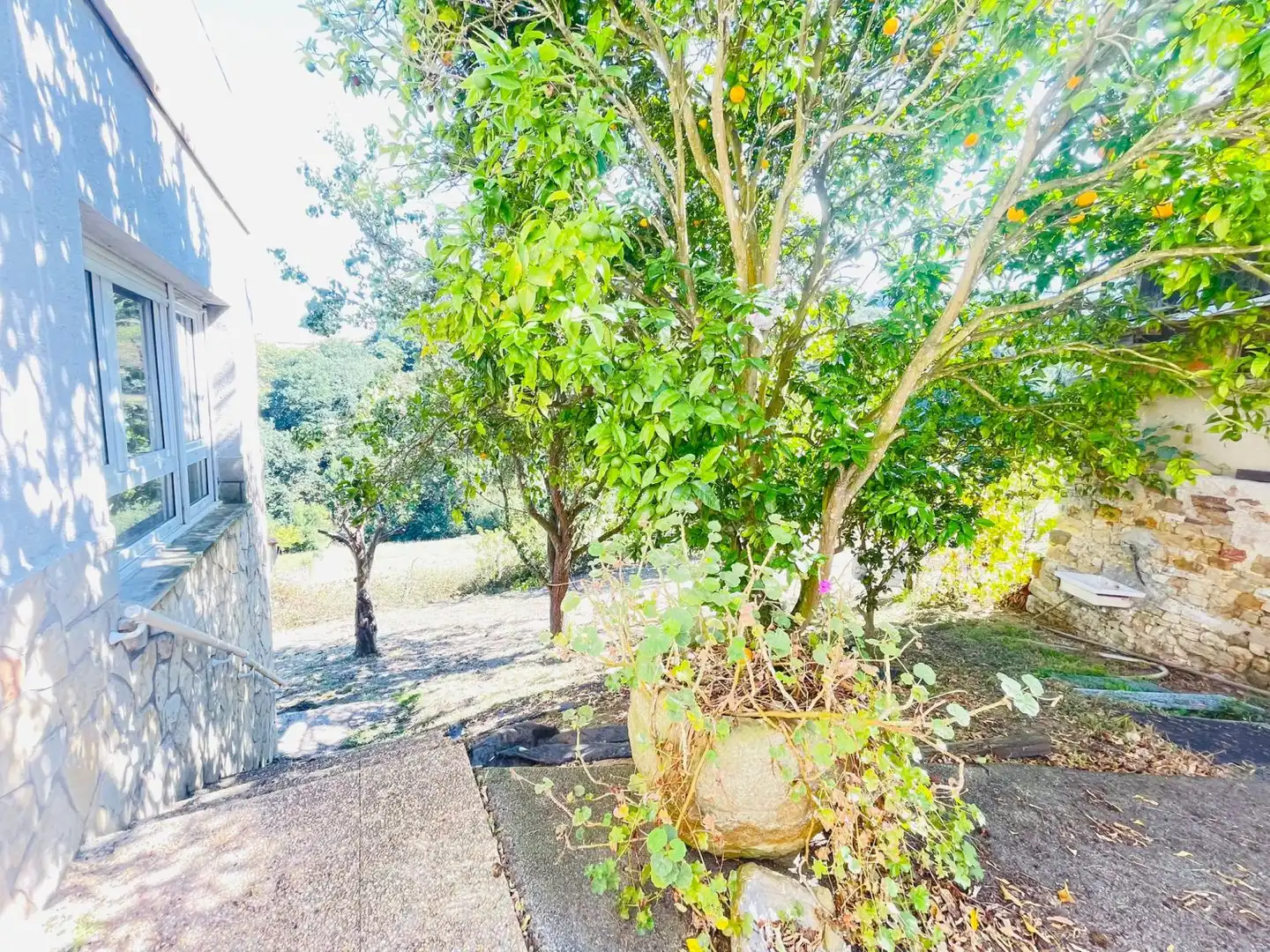 Detached house for sale in Rural, imagen 31