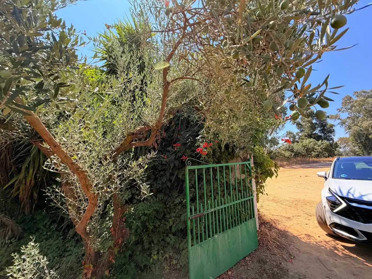 Casa o chalet en venta en Valverde de Mérida con Jardín privado, Terraza y Trastero