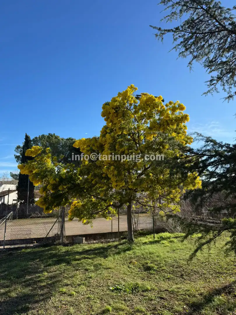 Jardín de Casa o chalet en venta en Begues con Aire acondicionado, Calefacción y Jardín privado