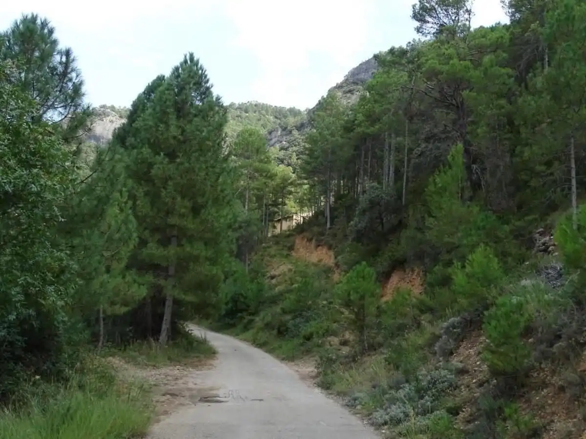 Vista exterior de Finca rústica en venta en Beceite