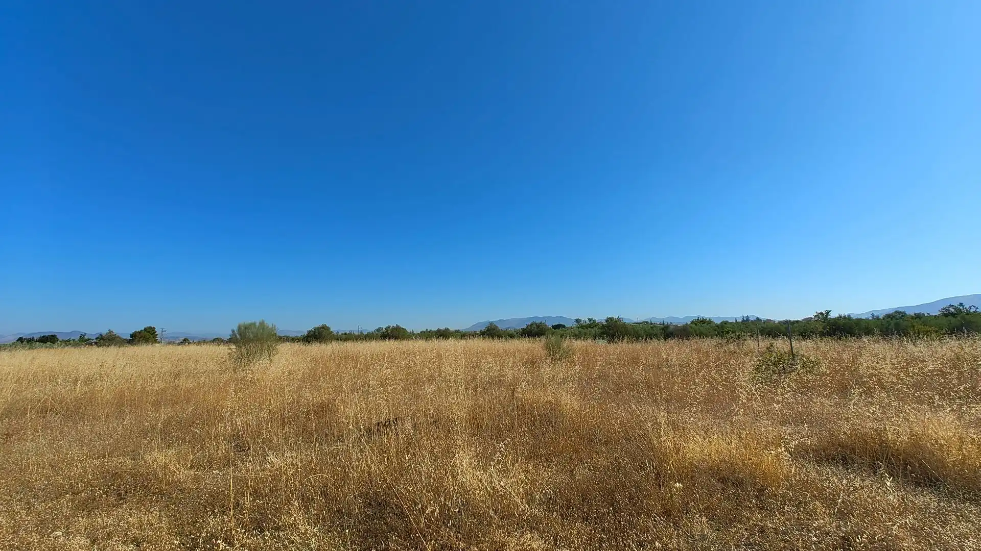 Terreno rustico in vendita a Aljancira, imagen 18