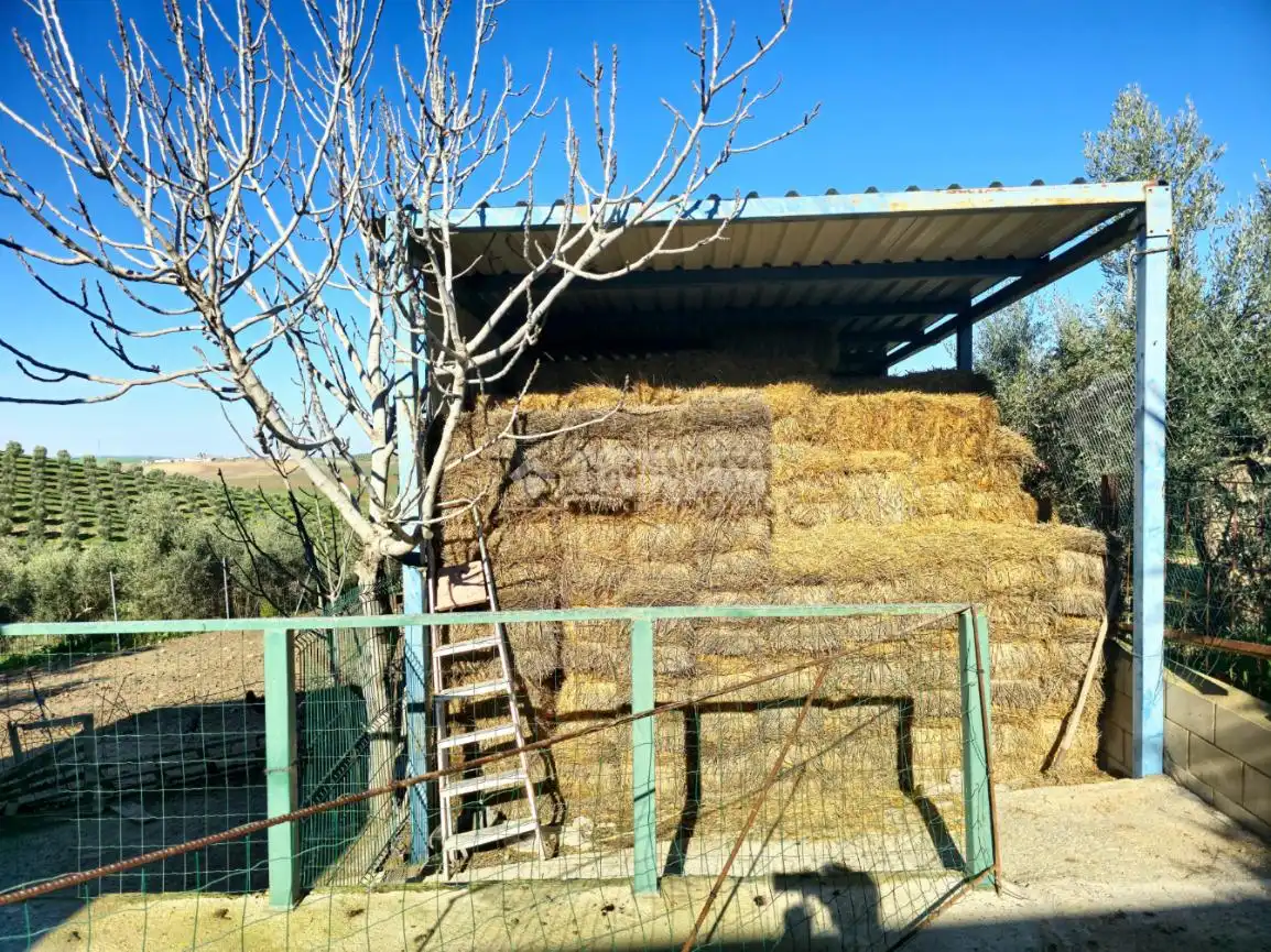 Terreno rustico in vendita a El Coronil, imagen 8