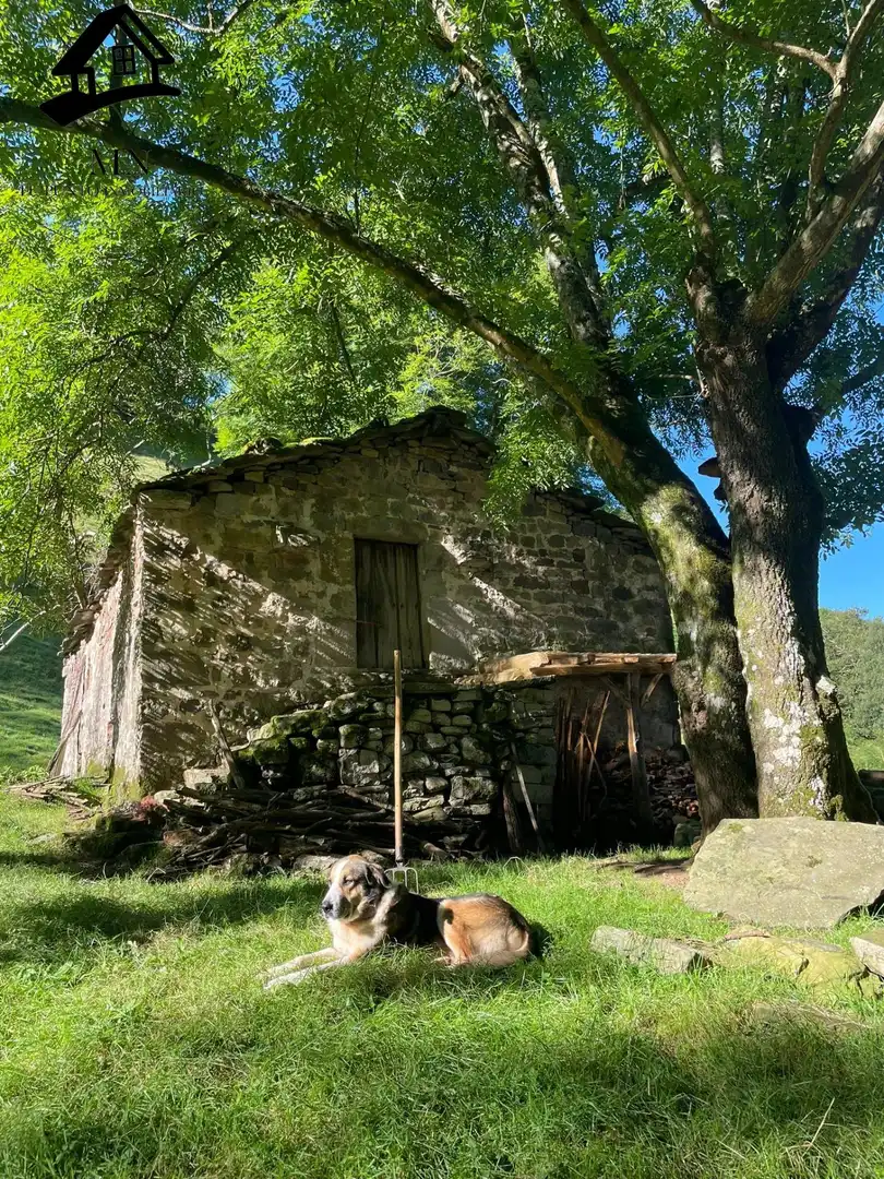 Casa in vendita a Selaya, imagen 5