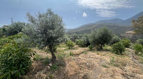 Foto 4 von Grundstücke zum Verkauf in Diseminado Diseminados, Órgiva, Granada