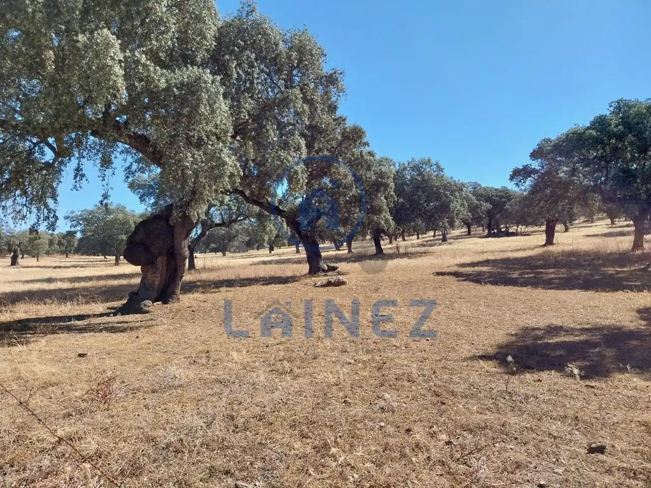 Lands and plots for sale in Fuente Obejuna