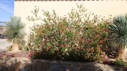 Foto 4 de Casa o chalet en venta en Albox, Almería