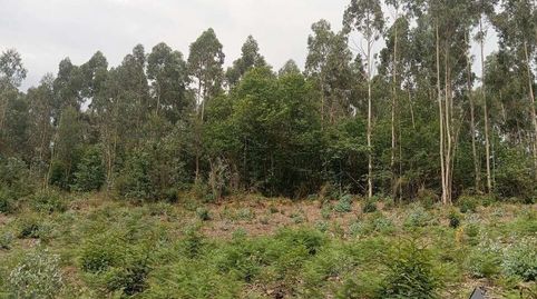 Foto 5 de Terreno en venta en Pillarno, Castrillón