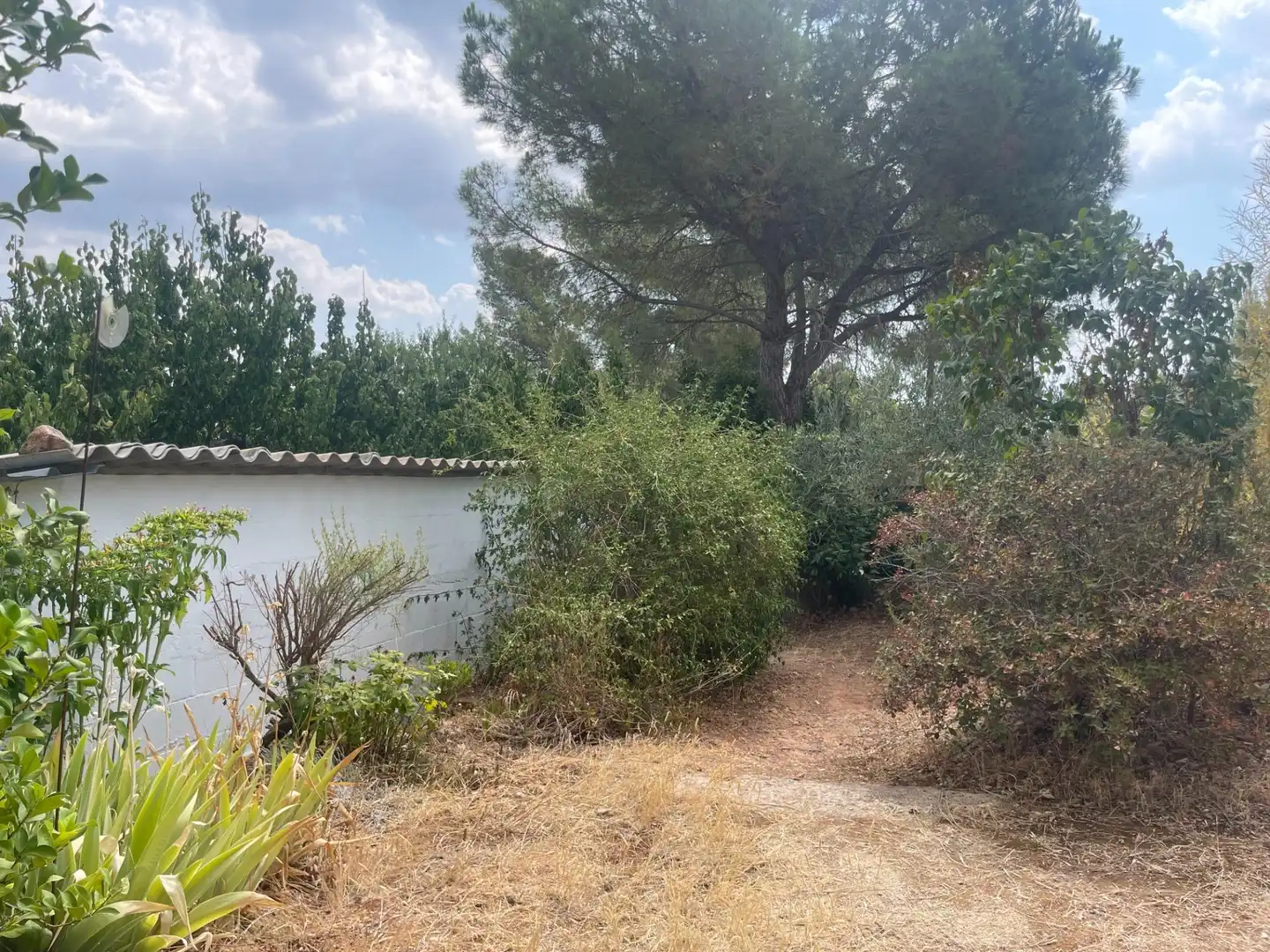 Terreno residencial en venta en Carrer CASTILLO CABRER, imagen 20