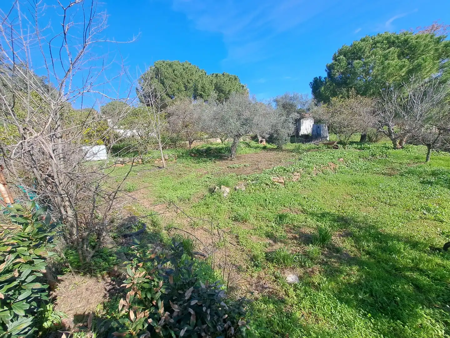 Villa mit Pool zum Verkauf in Almodóvar del Río, imagen 4