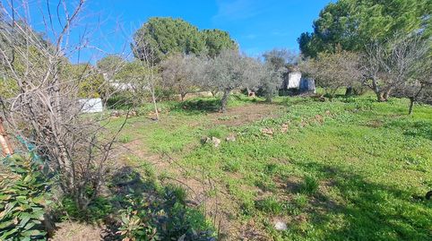 Chalet con parcela de 3000 metros., imatge 4