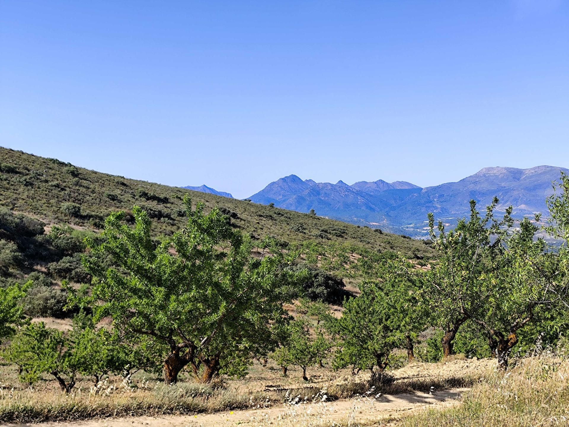 Terreno en venta en Arenas del Rey